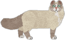 Parmesan